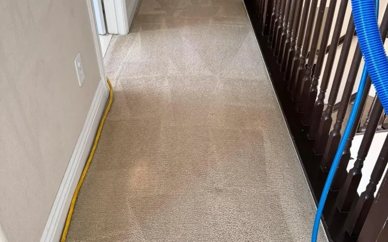 C&E 04